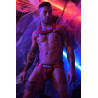 Breedwell Harnais HEX BULLDOG Breedwell Rouge